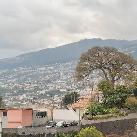 Palheiro's Dreaming View House By Mth Funchal (Madeira)